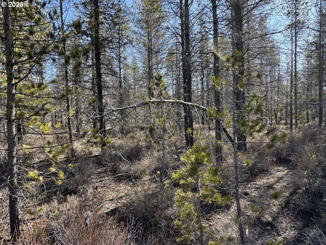 Photo of Unit 11 at Scott View Drive