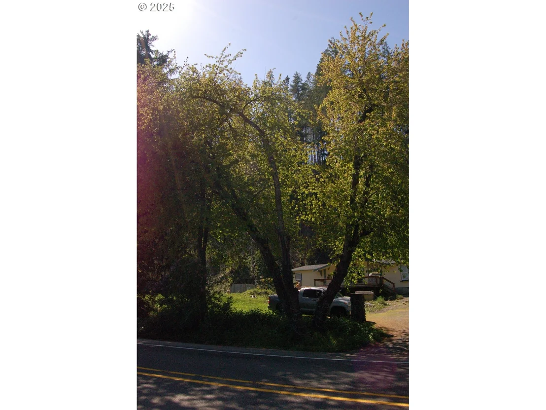 Photo of 49545 MCKENZIE HWY