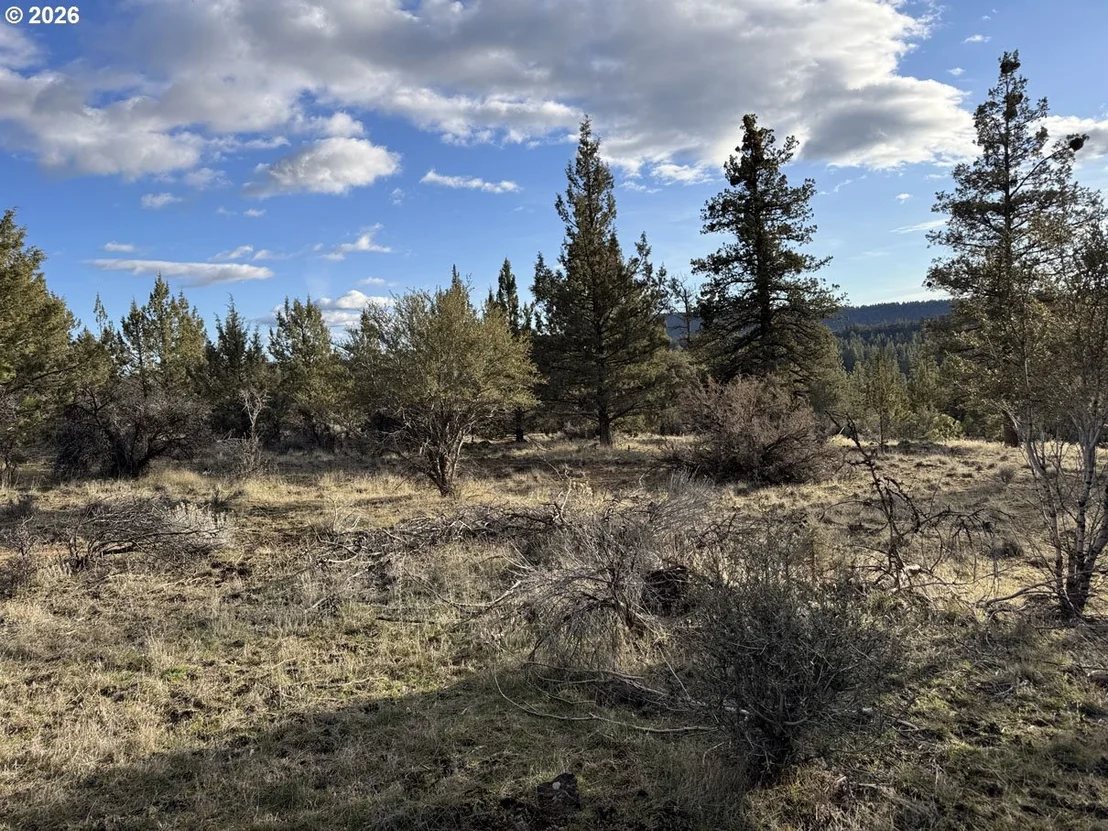 Photo of Unit 36 at Canvasback DR