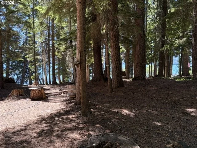 Photo of 22862 HIGHWAY 58
