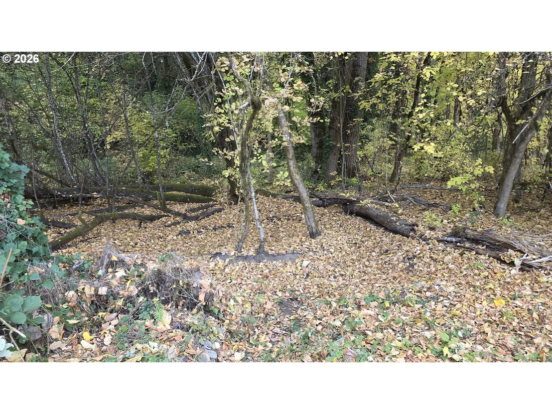 Photo of 93146 APPLEGATE TRL