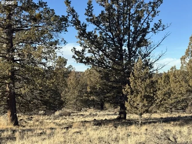 Photo of Unit 5 at Canvasback DR