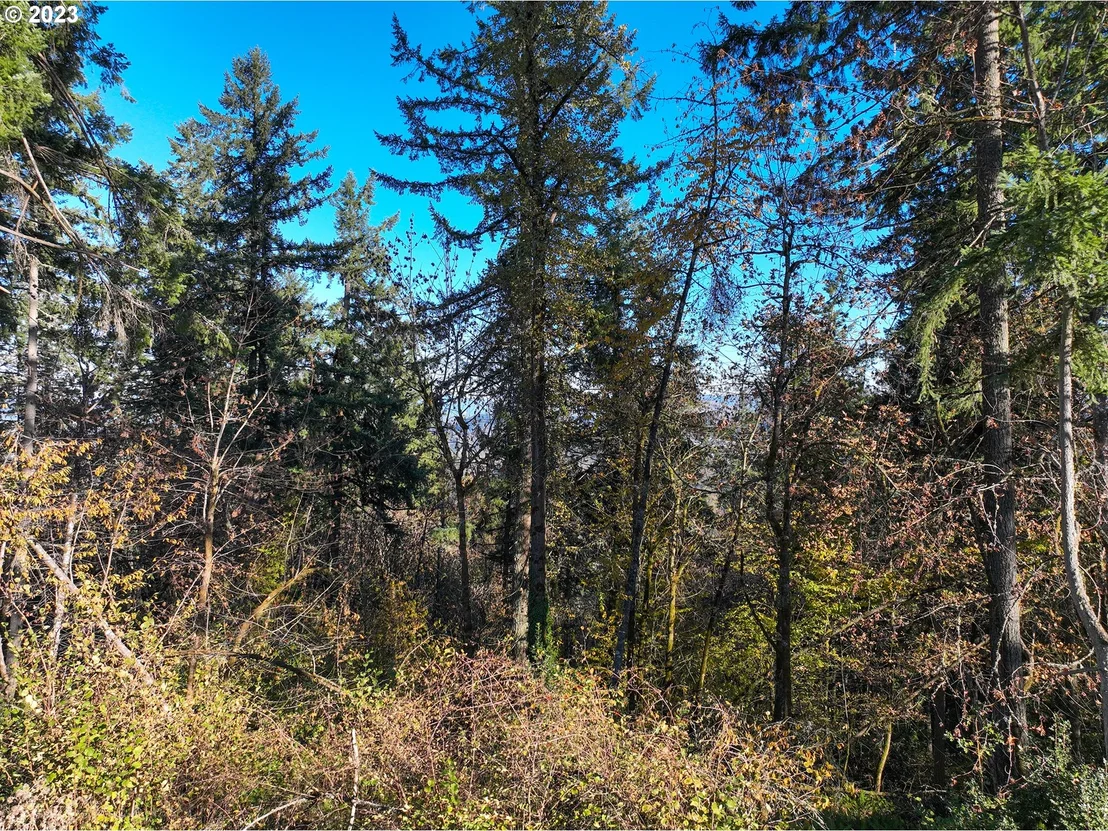 Photo of Unit 12 at 2639 Cupola DR