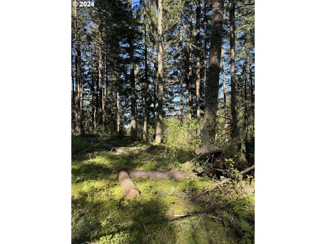 Photo of S 73rd AVE