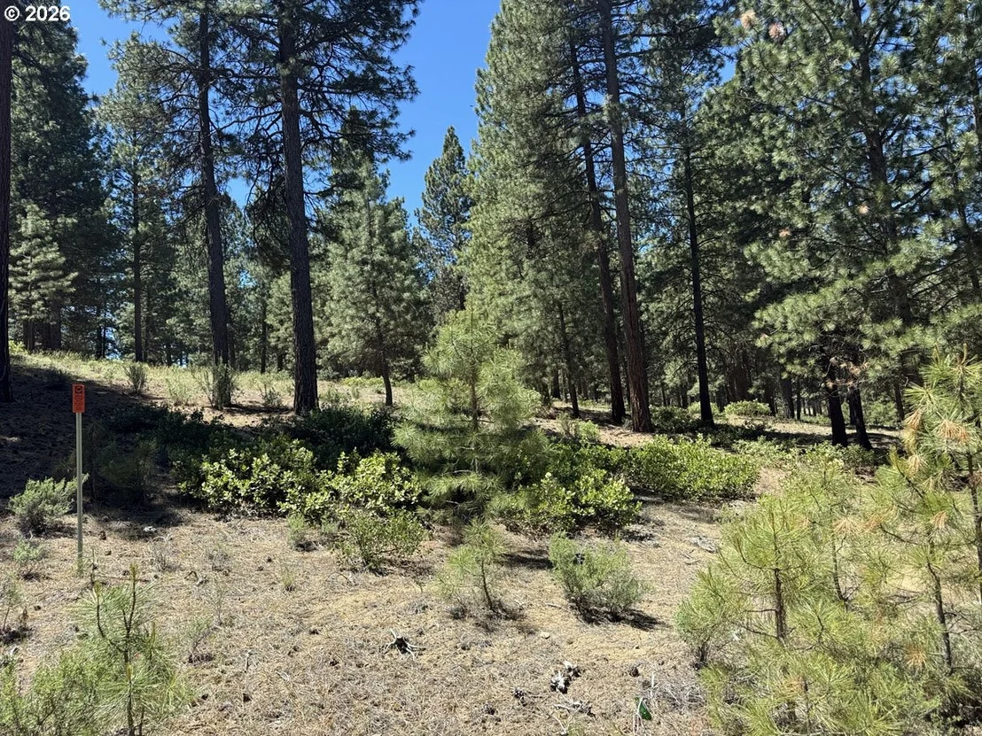 Photo of Unit 22 at Incline DR