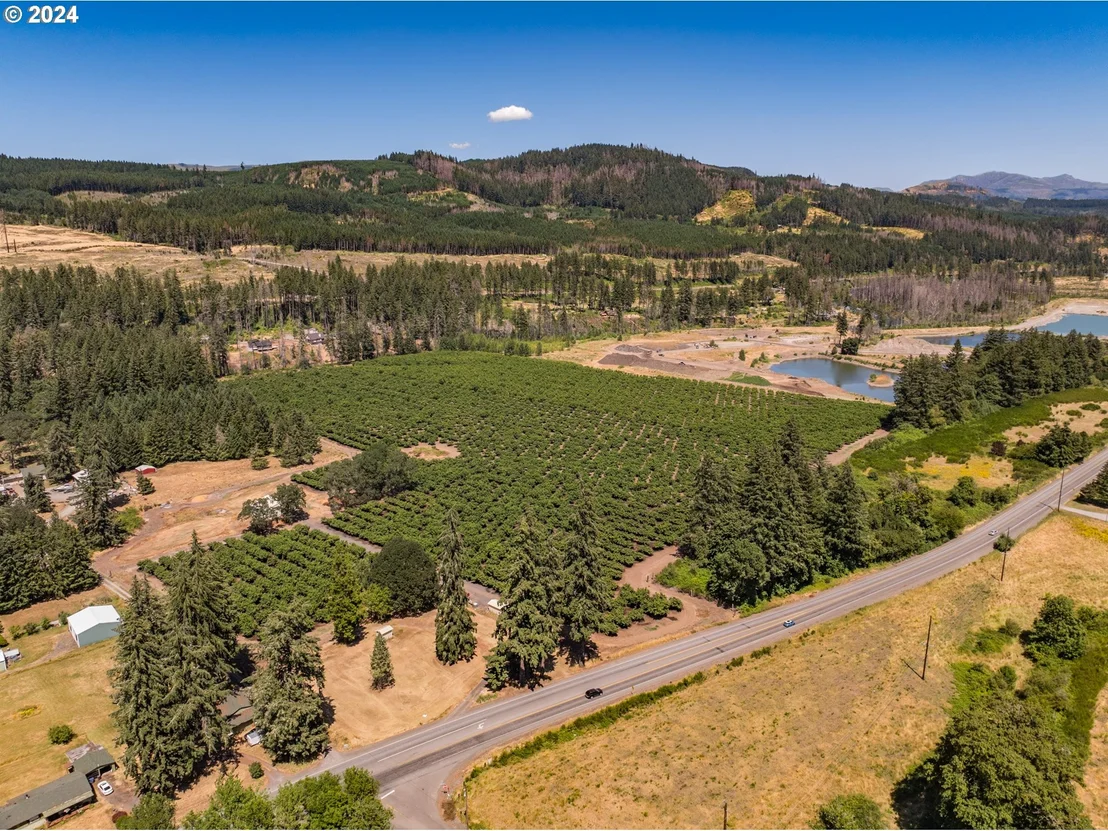 Photo of 46759 LYONS MILL CITY DR