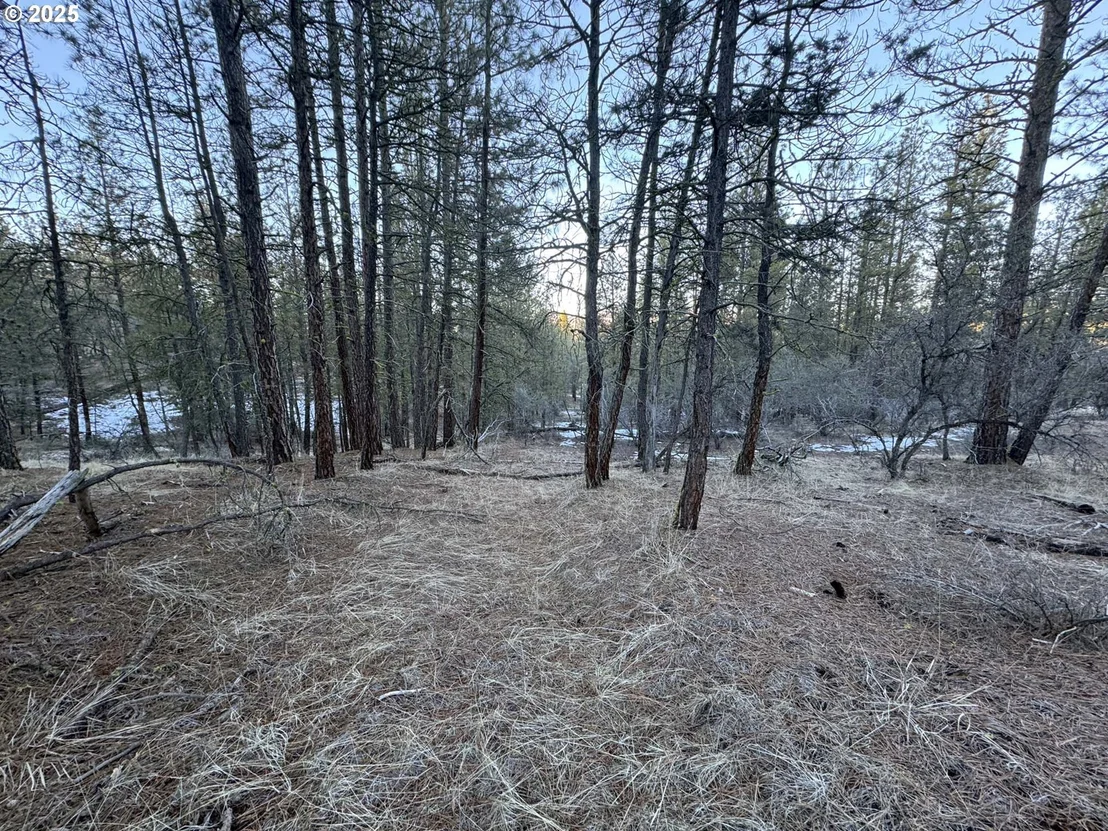 Photo of Unit LOT7 at Bobcat CIR