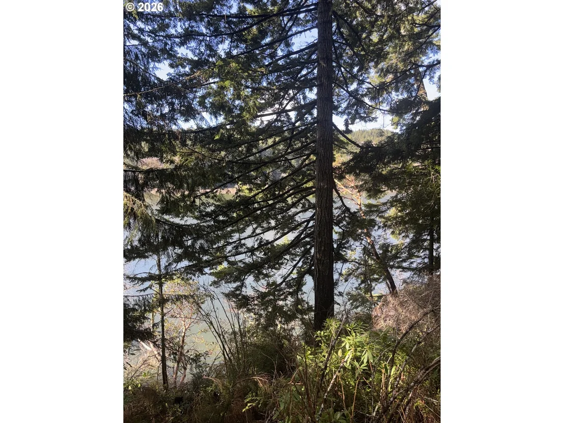 Photo of 72294 POTLATCH RD