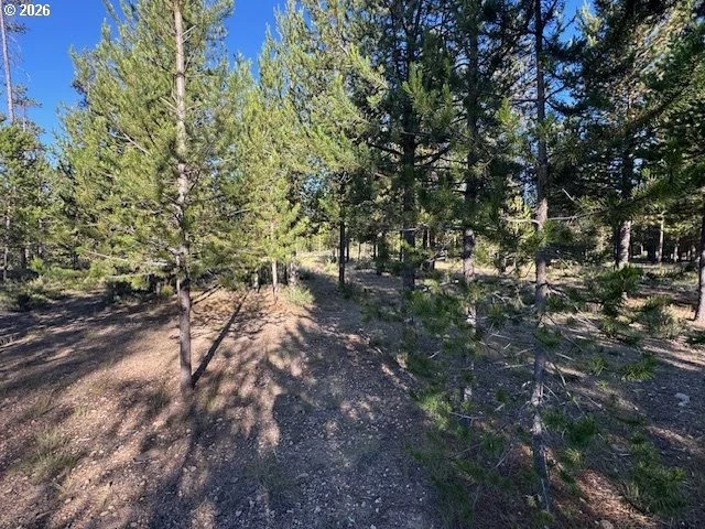 Photo of Unit 100 at Bear Flat RD
