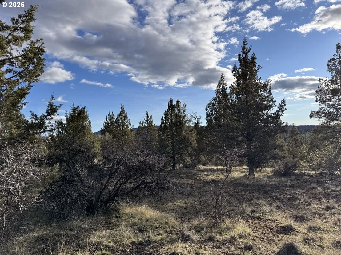 Photo of Unit 36 at Canvasback DR