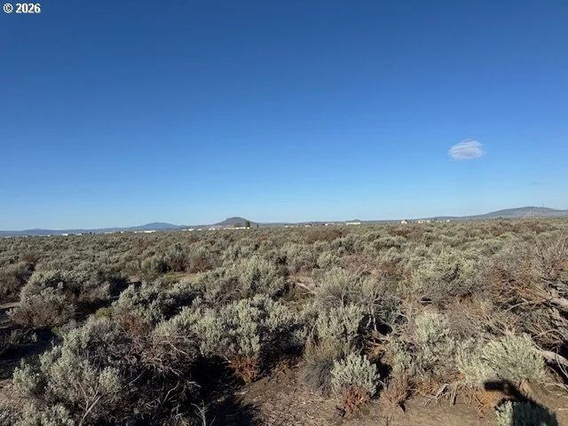 Photo of Unit 3000 at Bark Loop