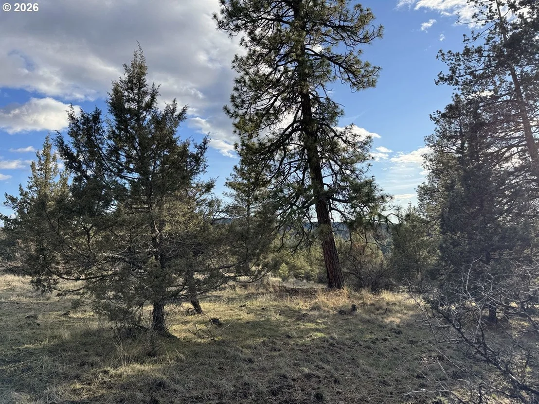 Photo of Unit 36 at Canvasback DR