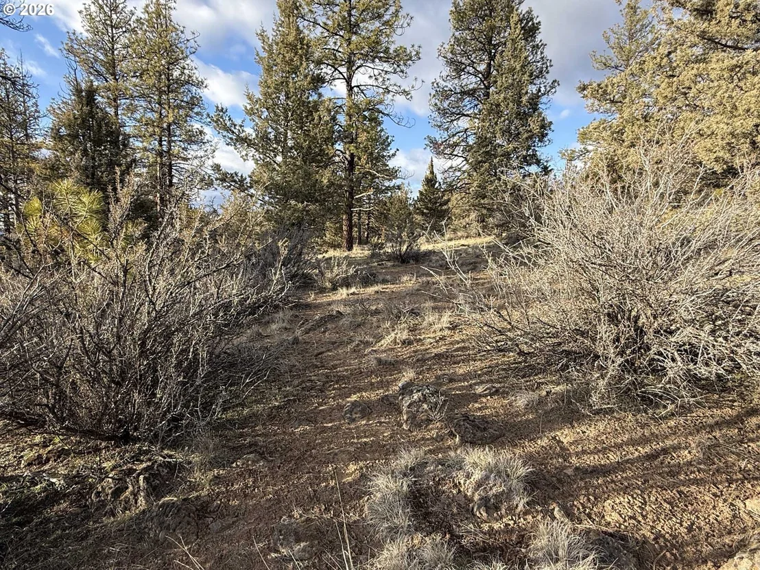 Photo of Unit 35 at Canvasback DR