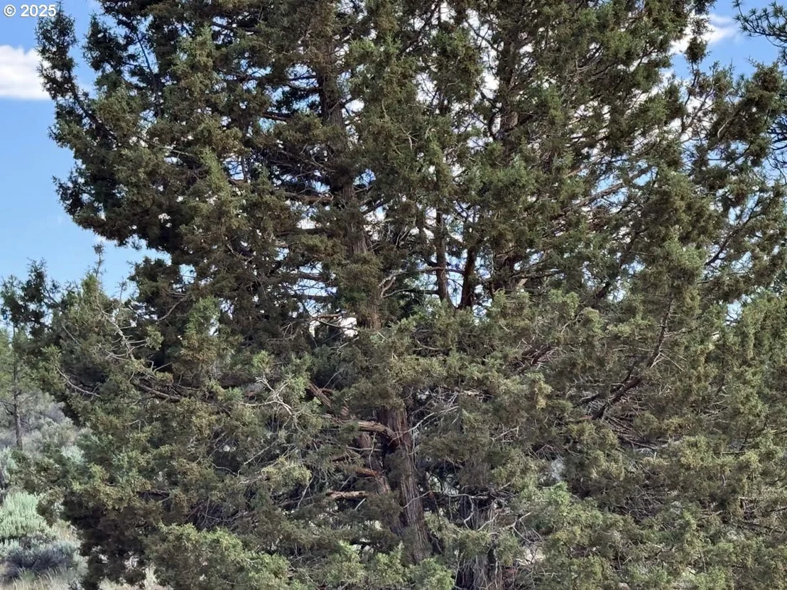 Photo of Unit 300 at HWY 140