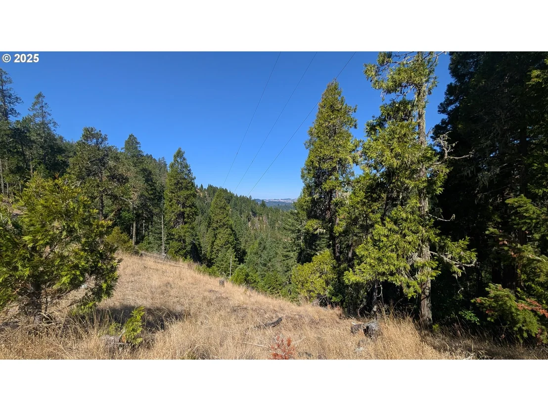 Photo of 900 OLD CABIN DR