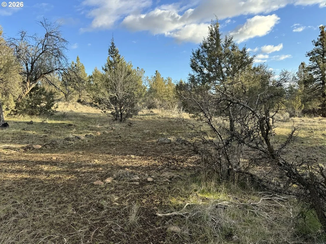 Photo of Unit 35 at Canvasback DR