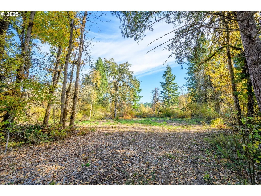 Photo of Siuslaw River RD