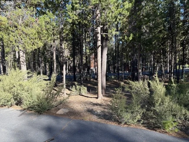 Photo of 142015 BLUE SKY WAY
