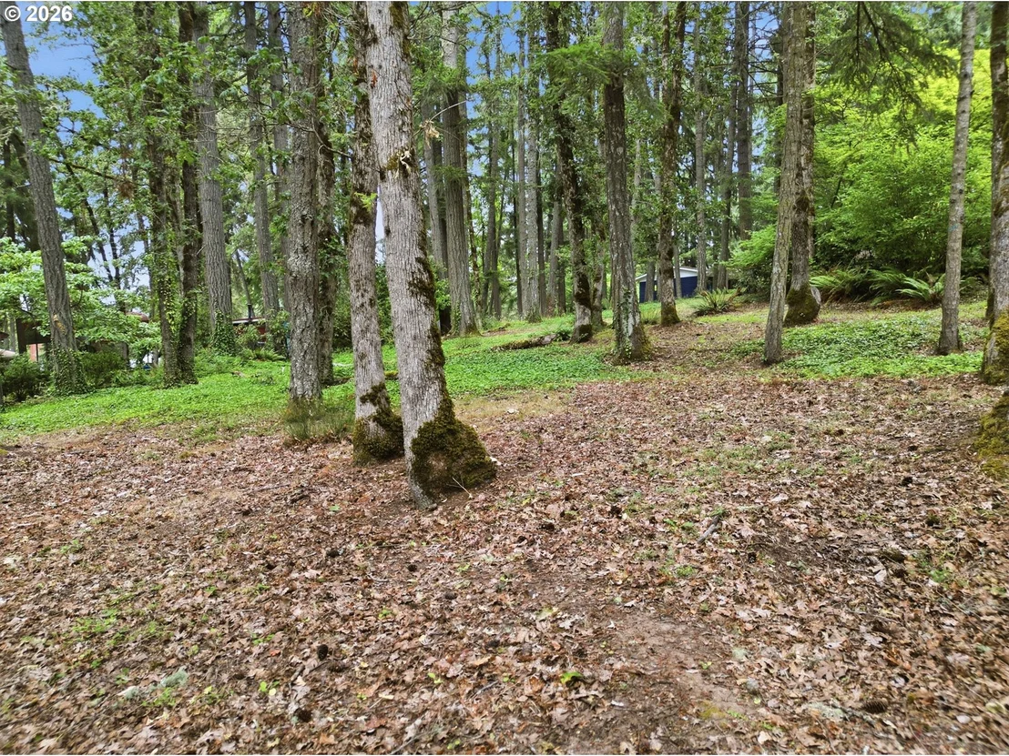 Photo of OLD DILLARD RD