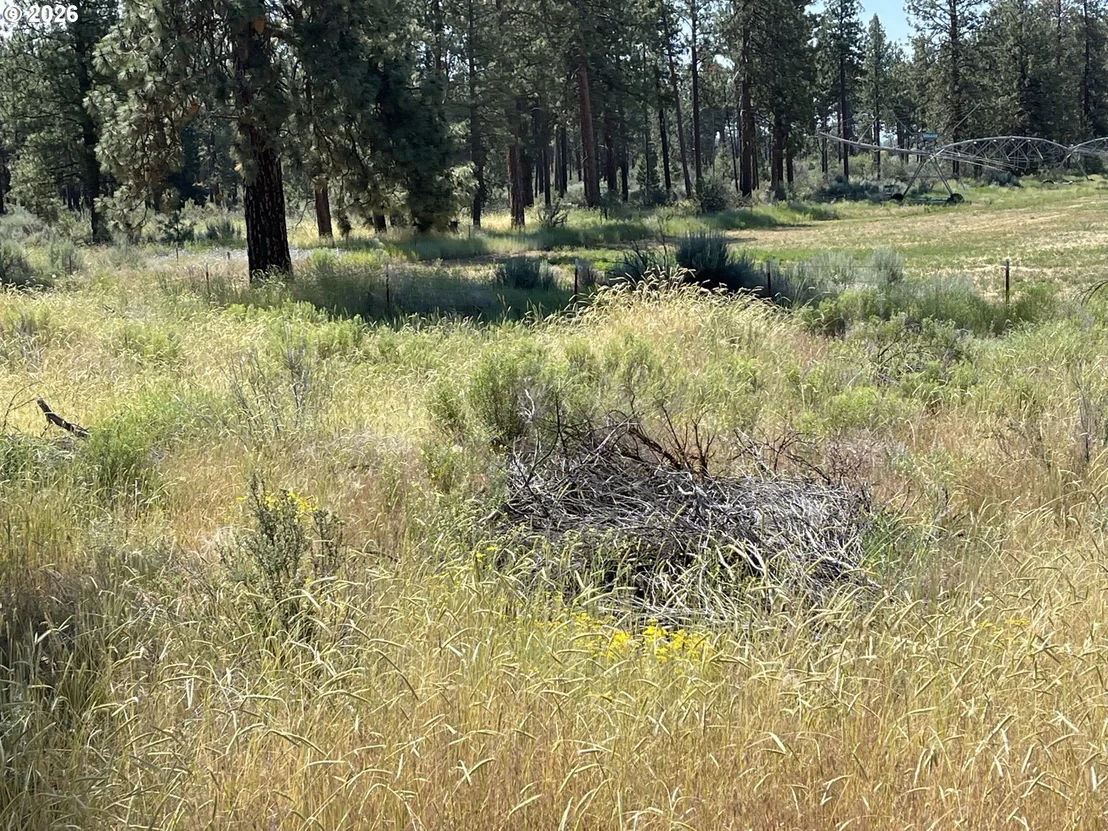 Photo of Unit 100 at S. Chiloquin Road