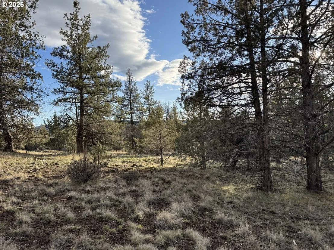 Photo of Unit 35 at Canvasback DR