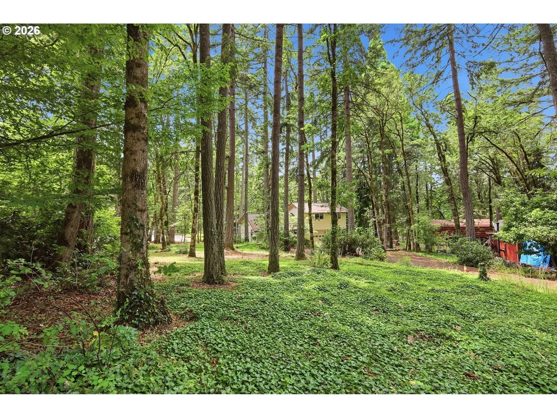 Photo of OLD DILLARD RD