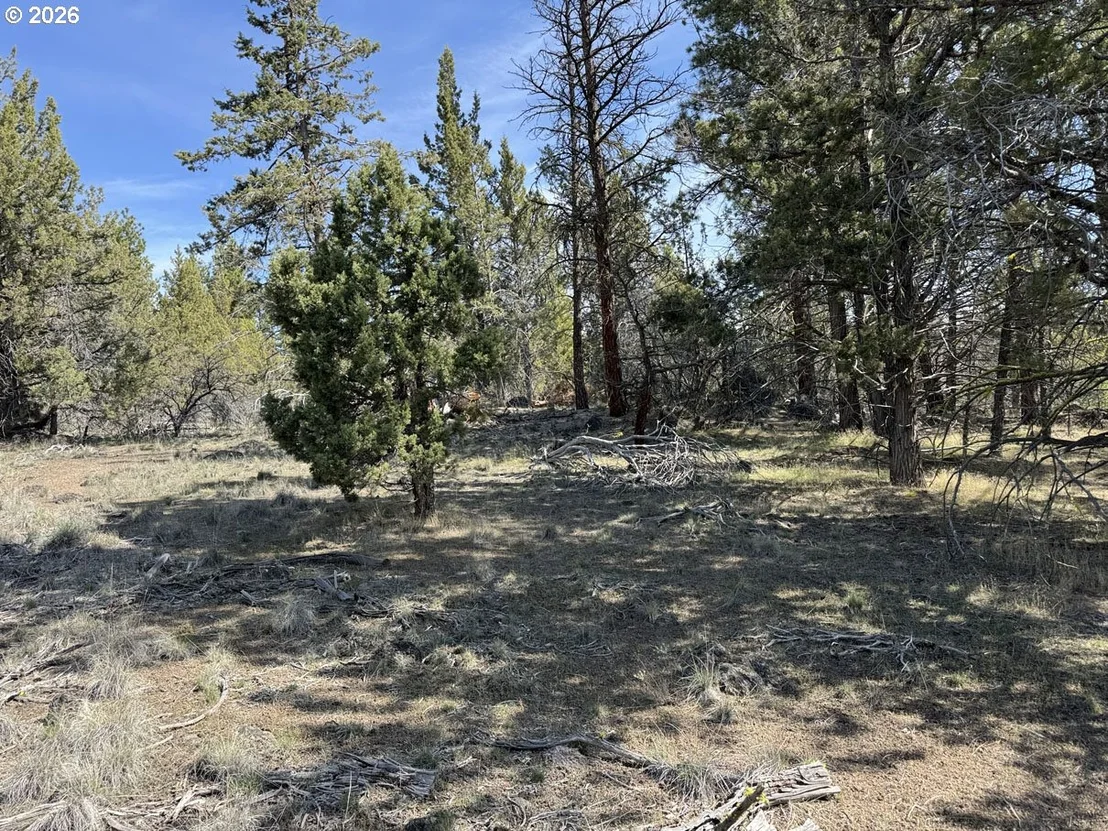 Photo of Unit 1100 at Yellow Jacket Spring RD