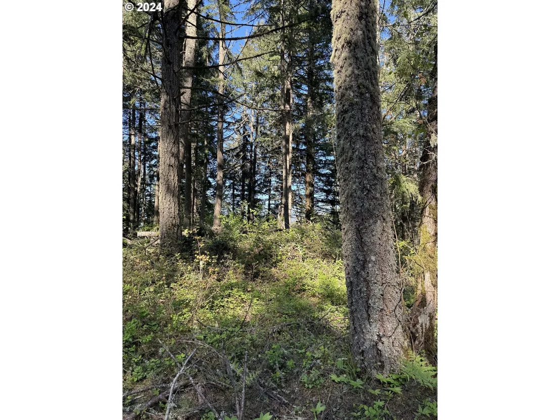 Photo of S 73rd AVE