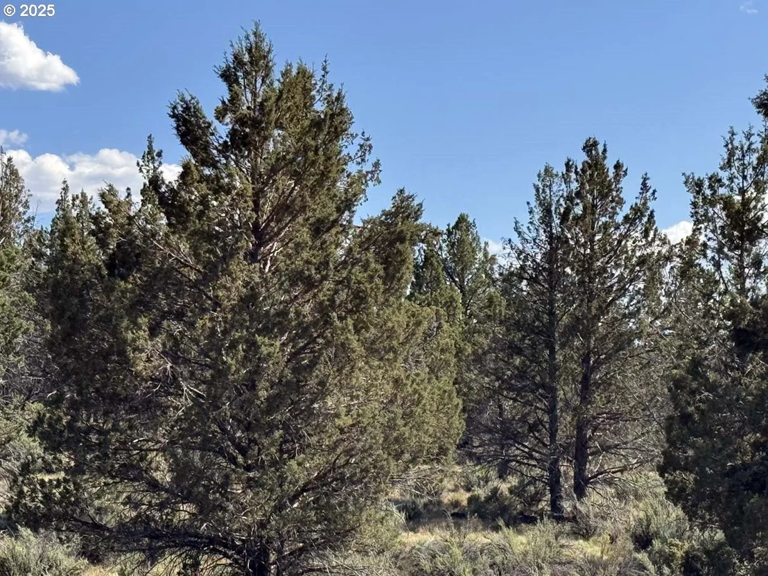 Photo of Unit 300 at HWY 140
