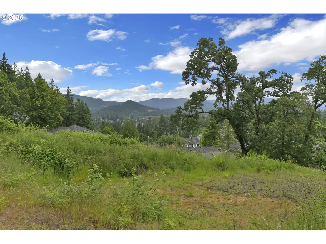 Photo of Forest Ridge