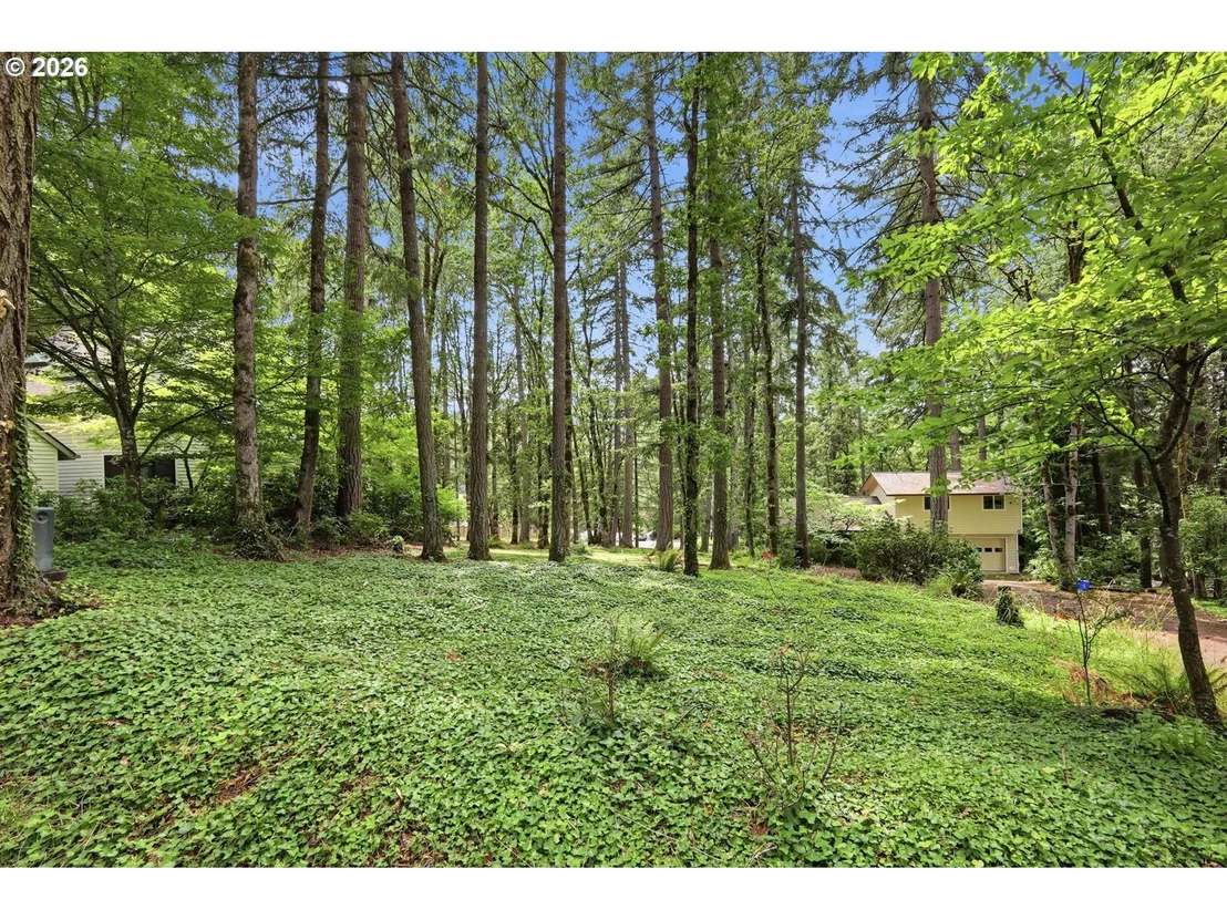 Photo of OLD DILLARD RD