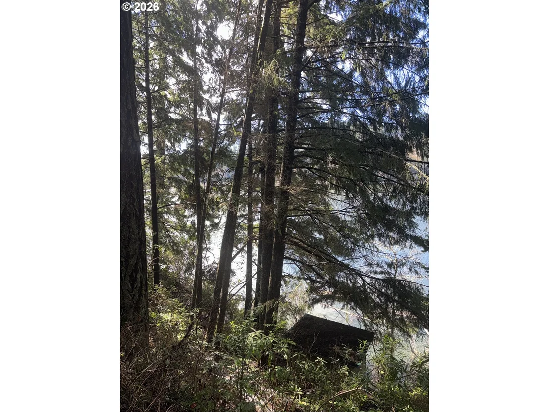 Photo of 72294 POTLATCH RD