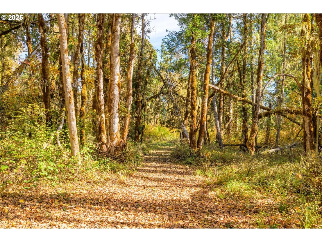 Photo of Siuslaw River RD