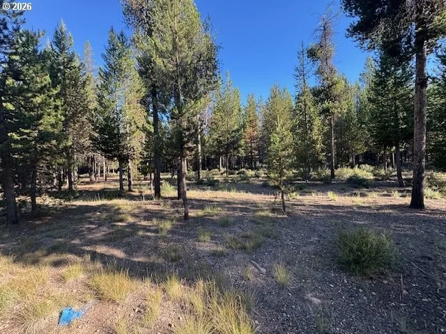 Photo of Unit 100 at Bear Flat RD