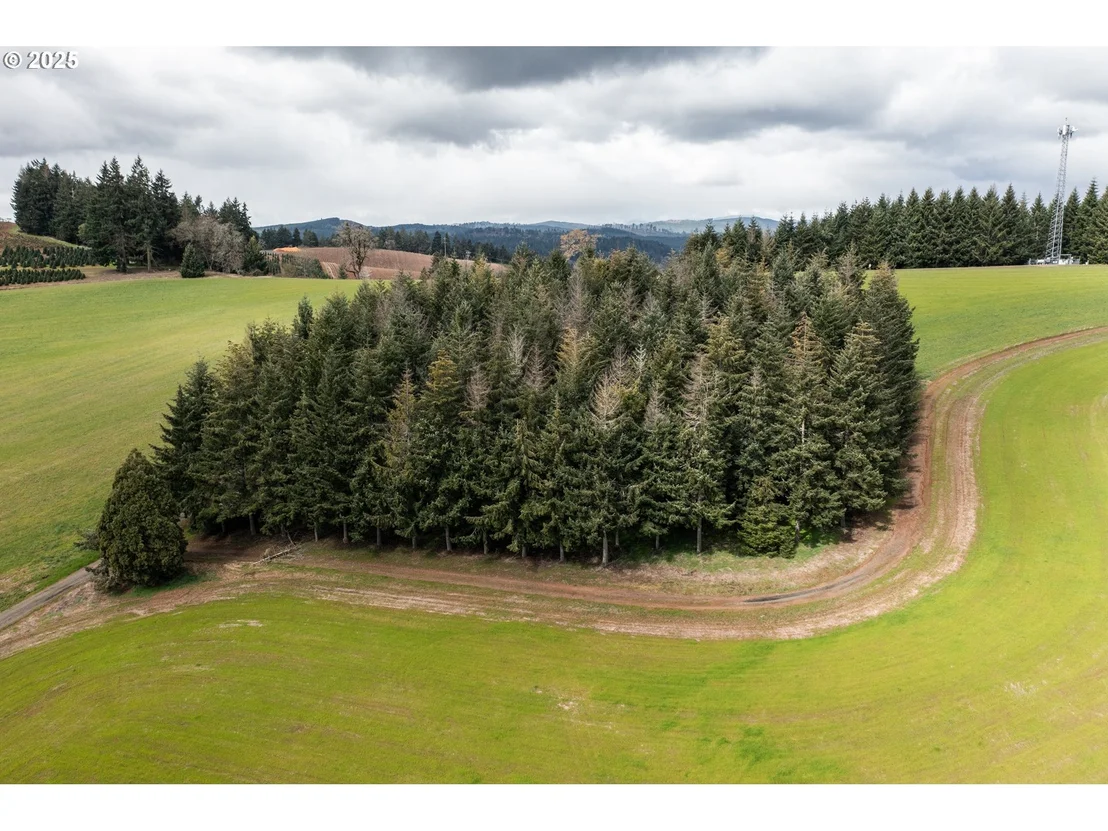 Photo of 92884 APPLEGATE