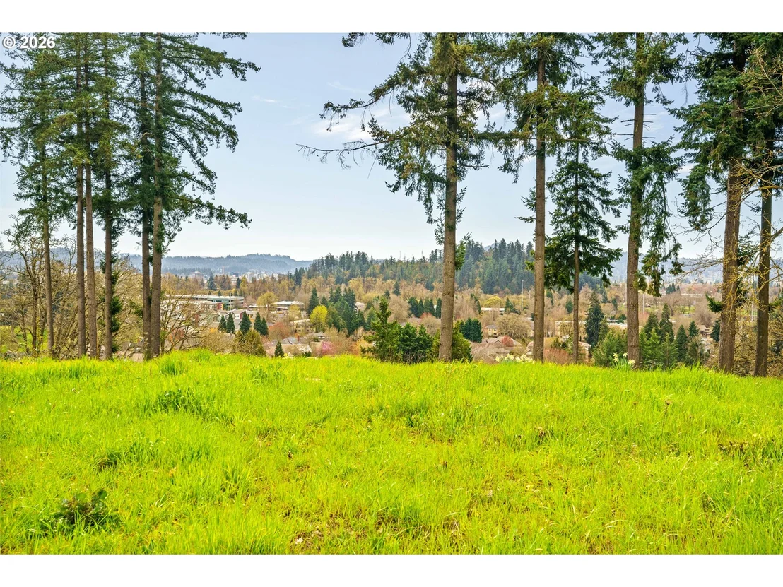 Photo of 1238 STONE FOREST CT