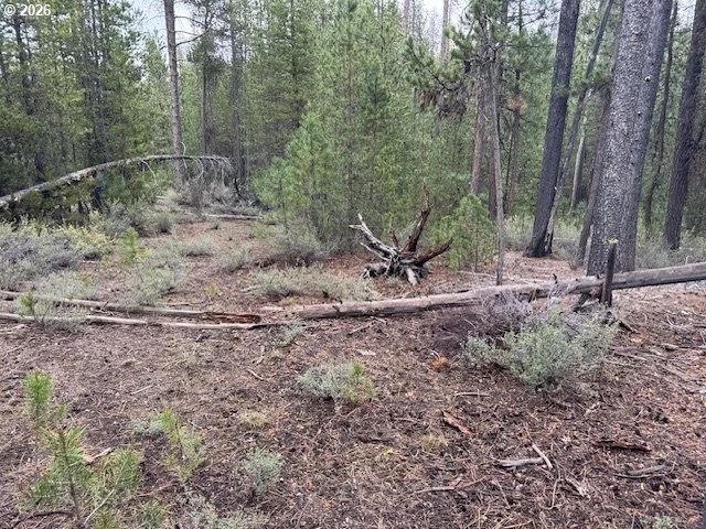 Photo of Unit 2900 at Schoonover 8