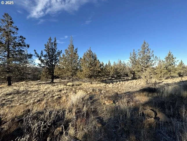 Photo of Unit 5 at Canvasback DR