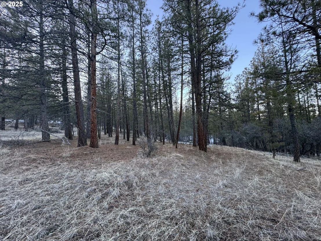 Photo of Unit LOT7 at Bobcat CIR