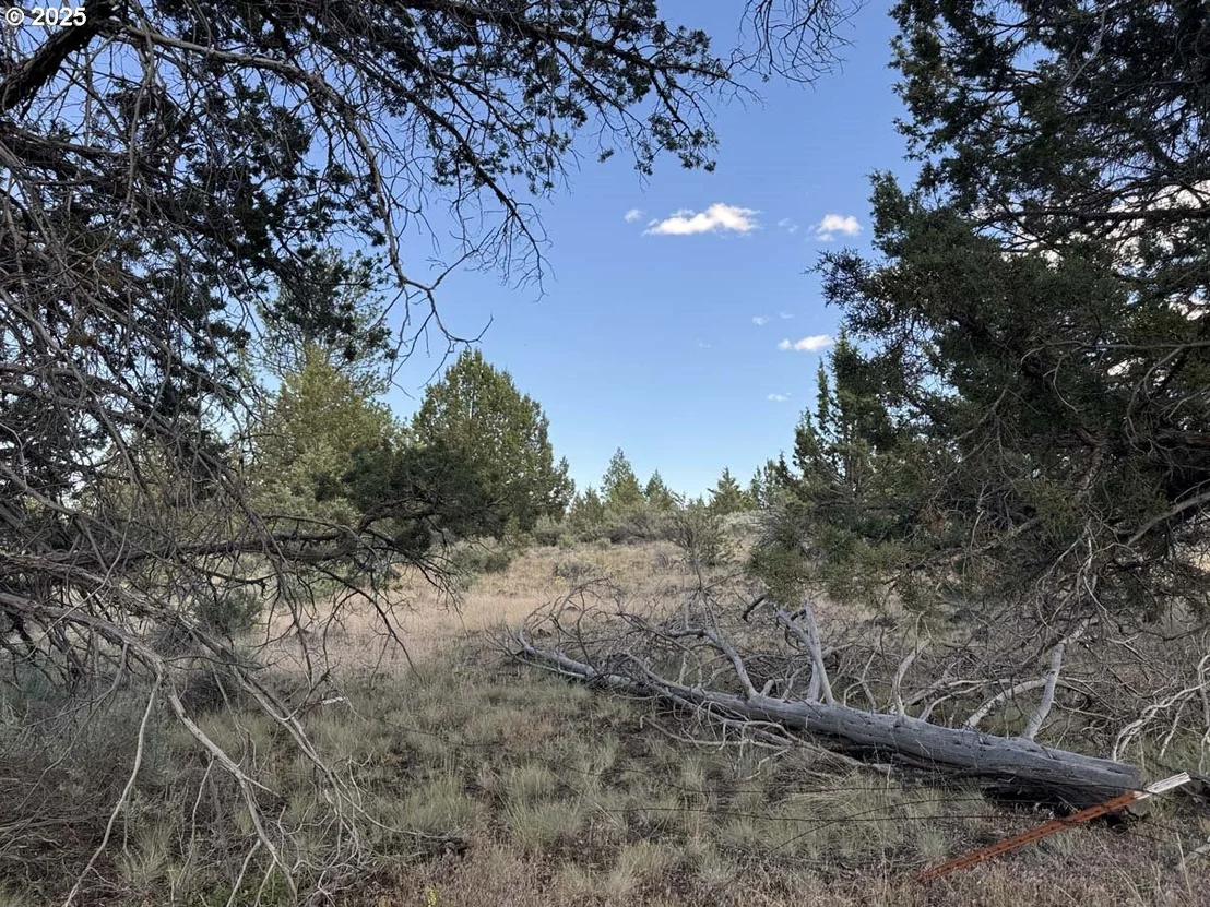 Photo of Unit 300 at HWY 140