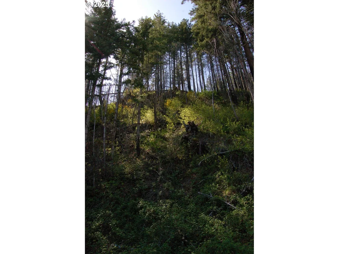 Photo of 49545 MCKENZIE HWY