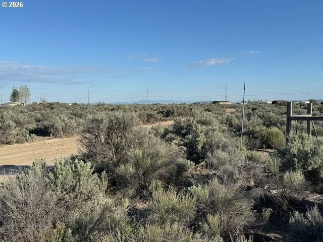 Photo of Unit 3000 at Bark Loop