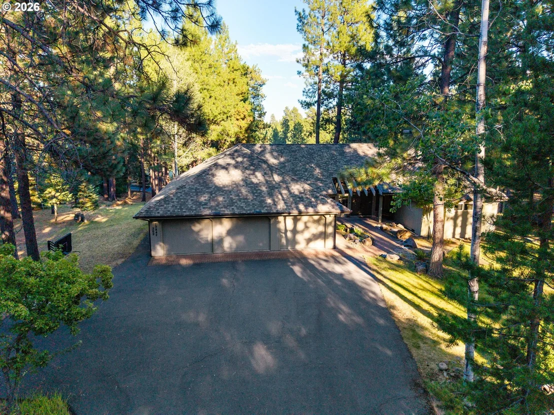 Photo of 13442 Galium
