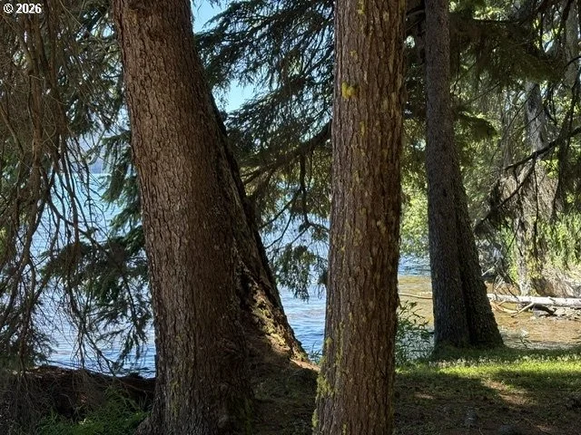 Photo of 22862 HIGHWAY 58