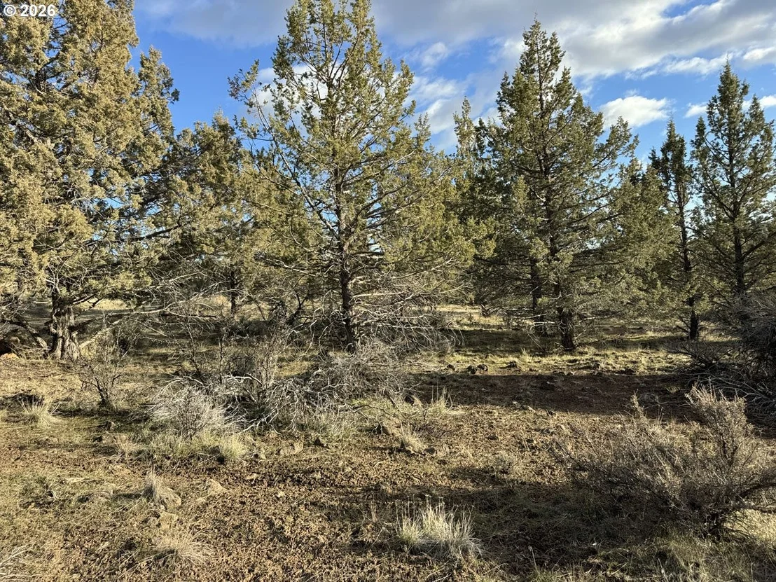 Photo of Unit 36 at Canvasback DR