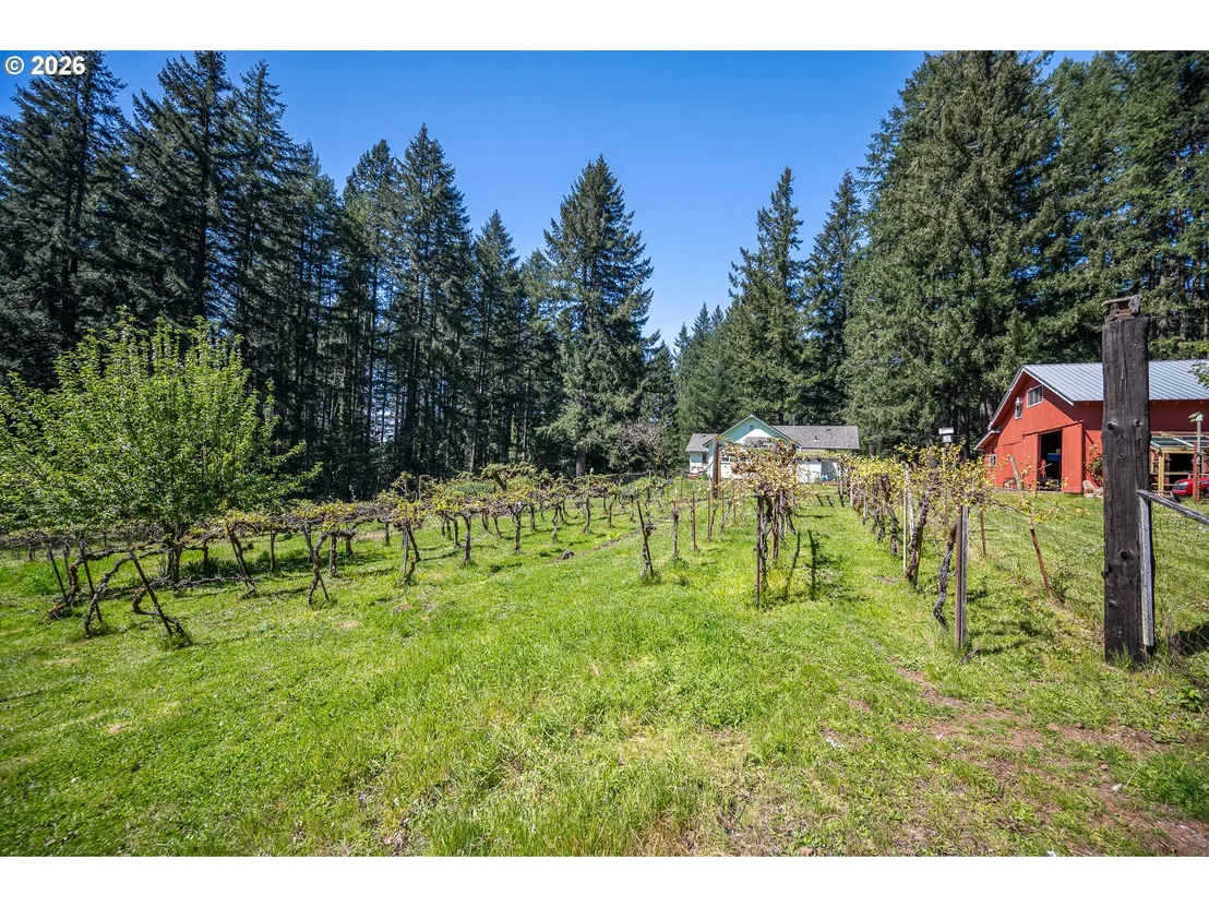 Photo of 40168 BOOTH KELLY RD