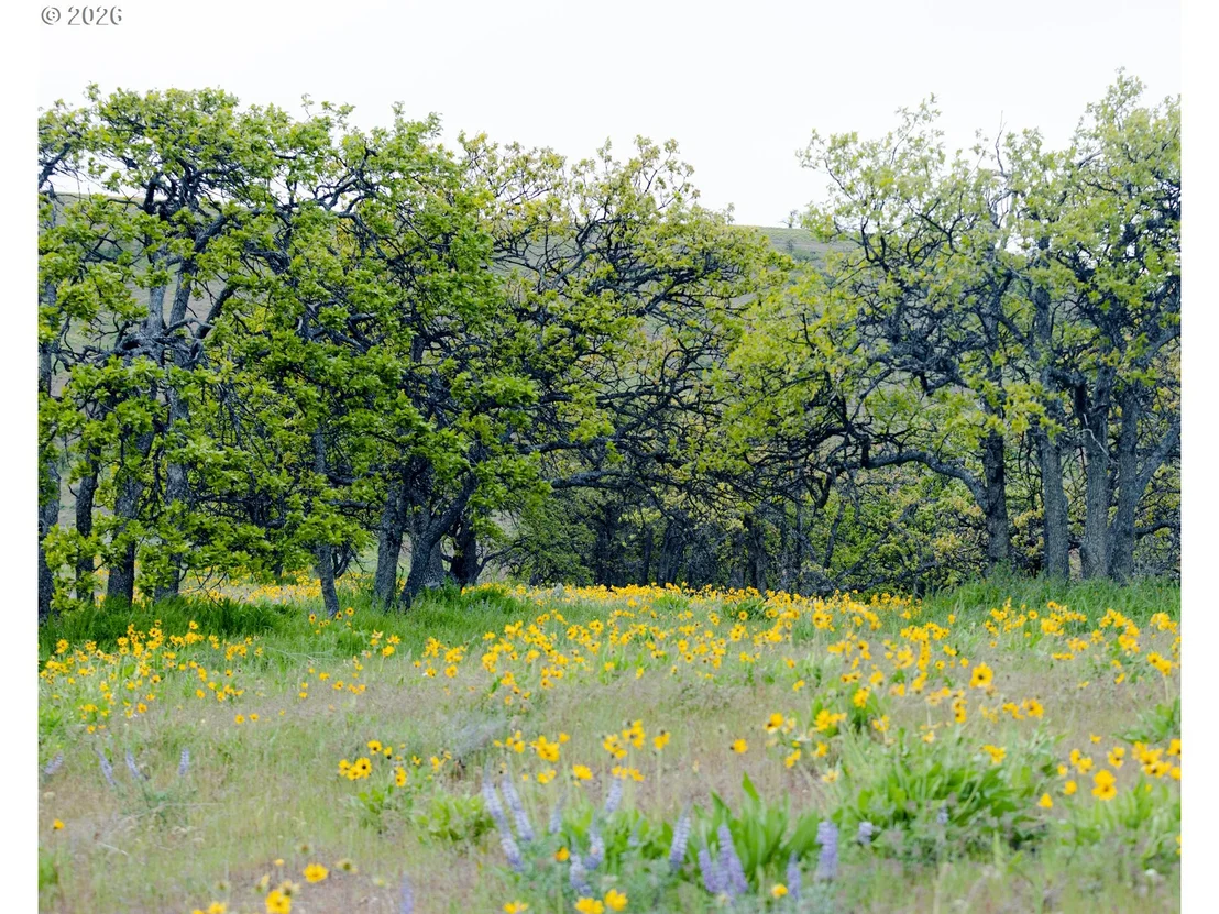 Photo of 3475 THREE MILE RD