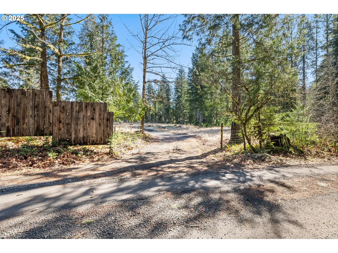 Photo of Alma DR