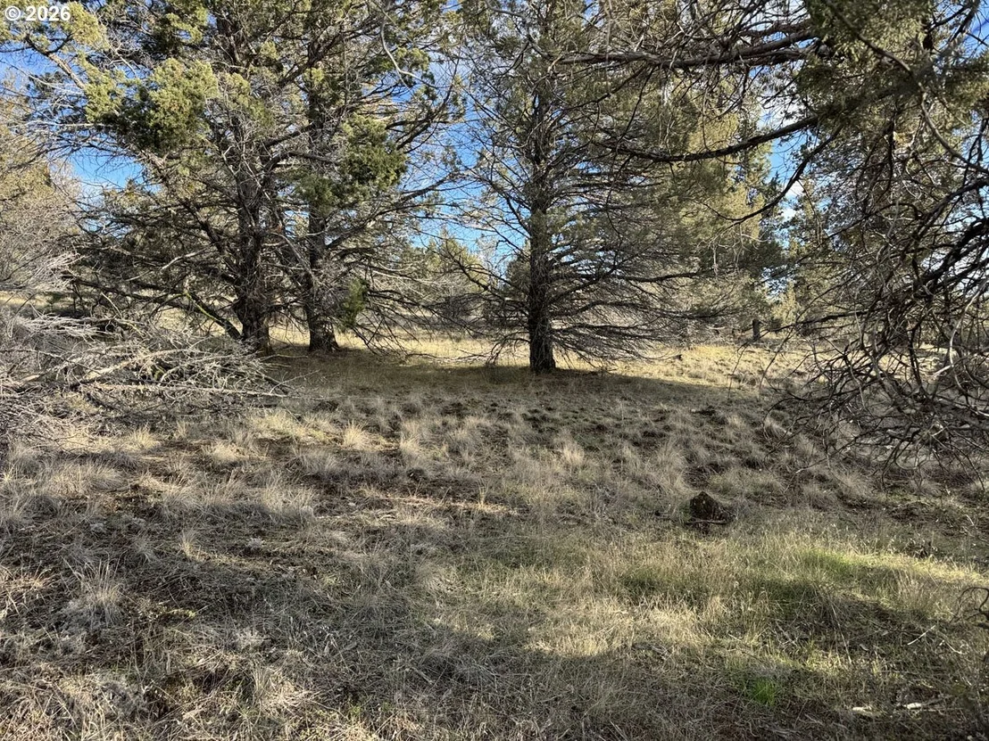 Photo of Unit 36 at Canvasback DR