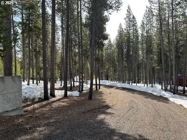 Photo of 139957 PINE CREEK LOOP